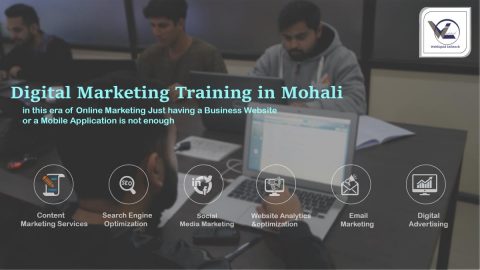 digital marketing in mohali