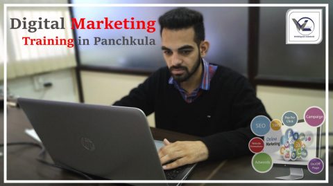  Digital Marketing Training in Panchkula - Webliquidinfotech