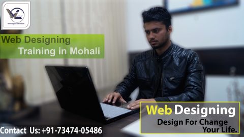web Designing in mohali - Webliquidinfotech